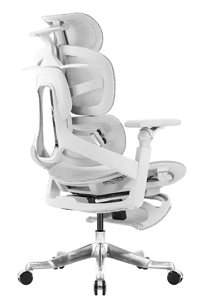 AE01SGA-G 艾因人體工學全網椅灰色 - 後側面135 度視角