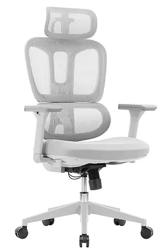 班赫人體工學椅灰框