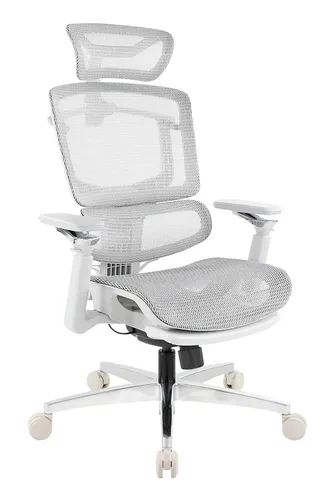 布朗人體工學全網椅灰框