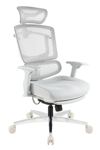 布朗人體工學椅灰框