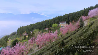 109年2月聯絡信